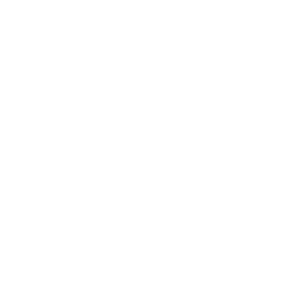 Fast Forward Logo
